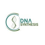 DNA Synthesis